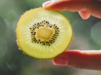 Fruits : 5 faits insolites sur le kiwi