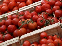 Fruits et légumes : à quoi correspondent les différentes catégories ?