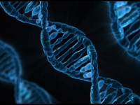 Génétique : CRISPR-Cas9 suscite des espoirs et des craintes