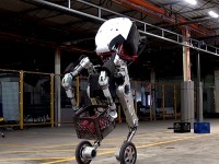 Handle : le robot magasinier qui pourrait un jour remplacer les humains