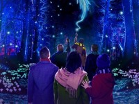 Harry Potter : l’expérience en Forêt interdite arrive à Montauban