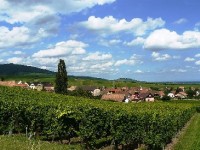 Hunawihr : un charmant village alsacien