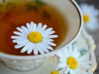 Hydrolathérapie : 5 hydrolats à boire pour se soigner