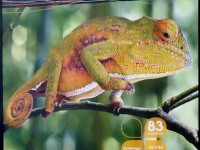 Hyper Nature : une expo photo sur les grilles du Jardin du Luxembourg