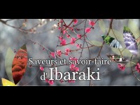 Ibaraki : saveurs, savoir-faire et paysages à 45 minutes de Tokyo