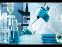 Immunai veut cartographier l'ensemble du système immunitaire