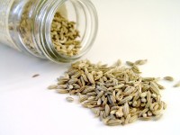 Infusion détox : 5 plantes incontournables pour une cure post fêtes