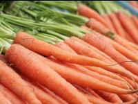 Intestin irritable : quels aliments privilégier ?