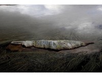 Jacques Renoir, Matières à paysages : une expo photo à Nice