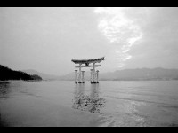 Japon, un haïku photographique : une exposition photo à Paris