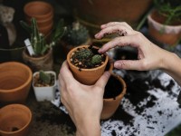 Jardin : 5 conseils pour protéger les pots du gel