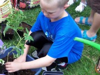 Jardin : 5 erreurs à éviter