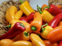 Jardin : 5 faits insolites sur le poivron