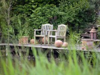 Jardin : comment créer un îlot de fraîcheur ?