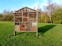 Jardin : comment fabriquer un hôtel à insectes ?