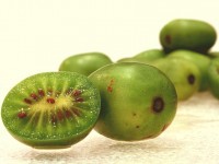 Jardin : cultiver le kiwaï en 5 questions