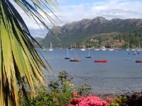 Jardin de bord de mer : quelles plantes choisir ?