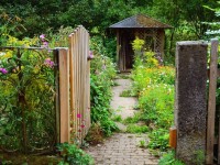 Jardin de sorcière : quelles plantes cultiver ?