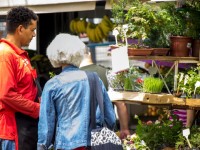 Jardinage : 5 bons plans pour trouver des plantes pas cher