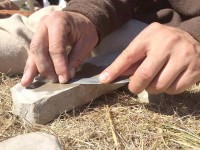 Jardinage : 5 conseils pour aiguiser ses outils de jardin