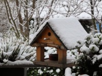 Jardinage : 6 choses à faire au jardin en hiver