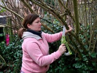 Jardinage : comment faire le grand ménage de printemps au jardin ?