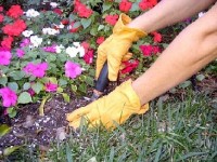 Jardiner sans se blesser : guide pratique