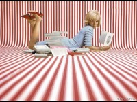 Jean-Marie Périer inaugure une Maison de la Photo à Villeneuve d'Aveyron