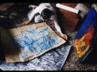 Jeunes photographes de la Bourse du Talent : une exposition à la BnF