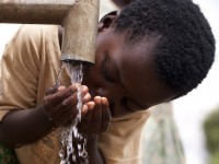 Journée mondiale de l'eau : 5 gestes pour préserver cette ressource