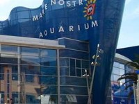 L'aquarium Mare Nostrum : une visite ludique à Montpellier 