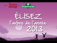 L'Arbre de l'année 2013 : une expo photo sur les quais de Seine