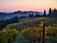 L'automne en Toscane : 5 choses à faire sur place