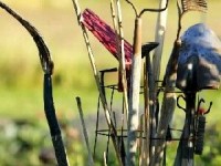 L'entretien des outils de jardin : mode d'emploi