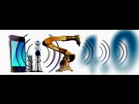 L'Europe doit-elle réglementer les sociétés de technologie américaines?