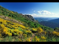 L'Hérault : une nature aux multiples paysages 