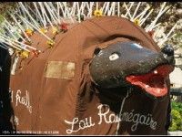 L'Hérault en hiver : des idées de sorties