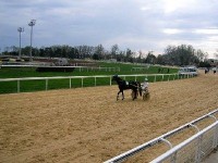 L'Hippodrome de la Côte d'Azur : un des plus importants hippodromes de France