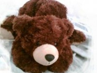 L'histoire de l'ours en peluche : origines et évolutions