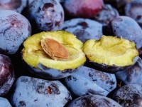 L'huile de prune : le nouvel anti-âge naturel