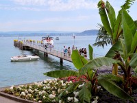L'île de Mainau : découvrez l'île aux fleurs du lac de Constance