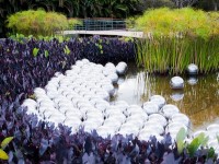 L'Institut Inhotim : un musée à ciel ouvert au Brésil