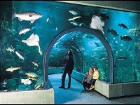 Plongée dans les coulisses du muséum-aquarium de Nancy