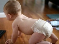 La baby gym : la gym des 2 à 6 ans