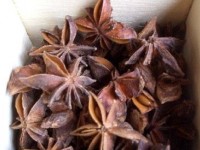 La badiane ou anis étoilé : utilisations et vertus 