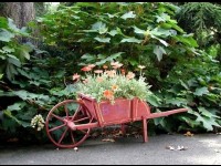 La brouette : histoire d'une invention