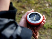 La chasse au trésor : un loisir en vogue