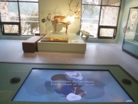 La Cité de la Préhistoire : un musée innovant en Ardèche