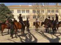 La Cité du Cheval : des formations équestres à Tarascon
