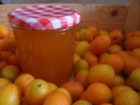 La confiture de kumquat : une recette facile